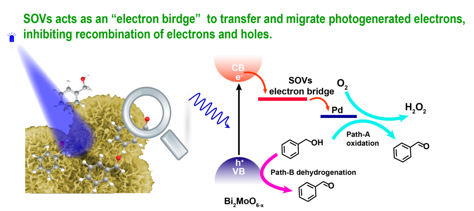 说明: 未标题-2-01